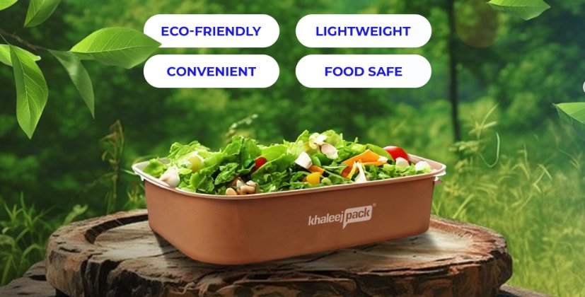 Eco Friendly Food Packaging Solutions