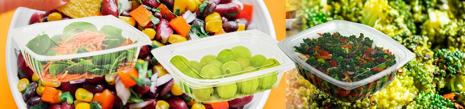 Clear Plastic Food Containers - Safe and Airtight Storage
