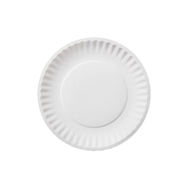 PAPER PLATE 7 INCH